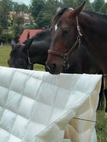 Kołdra Puchowa 200x200 Paradies Crystal City Całoroczna - 3