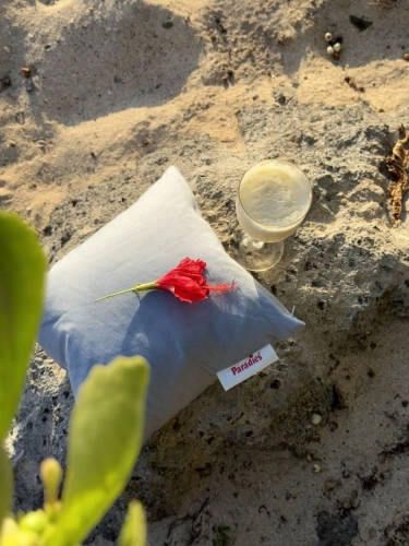 Poduszka puchowa 40x40 Paradies Bella Travel - na plaży